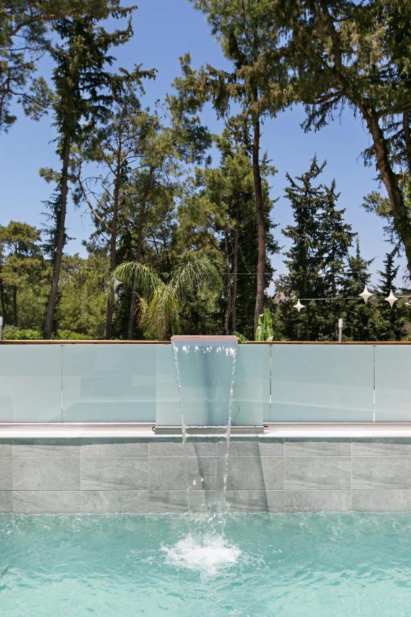 Dasylio - Earthy Living Homes Ialysos  Bagian luar foto